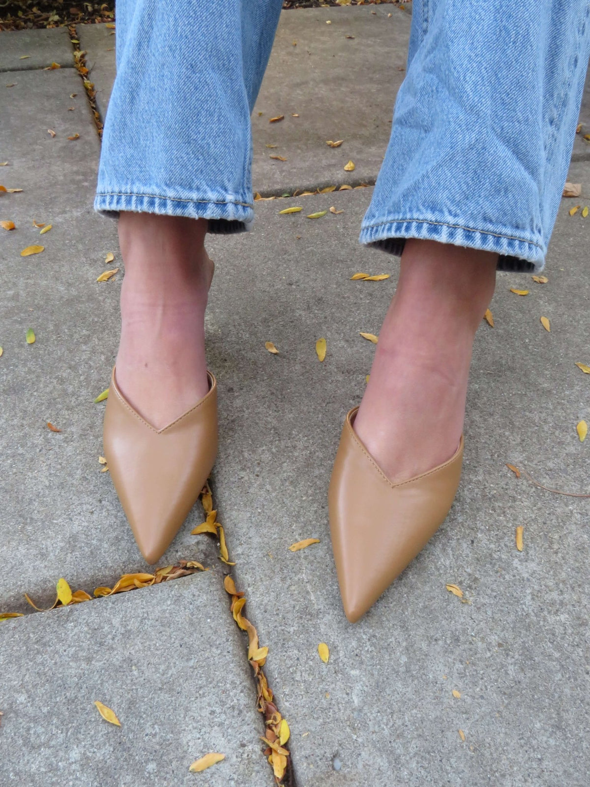 Standing on a stone pavement with yellow leaves, person wears light blue jeans and Morley Camel Open Back Kitten Heels.